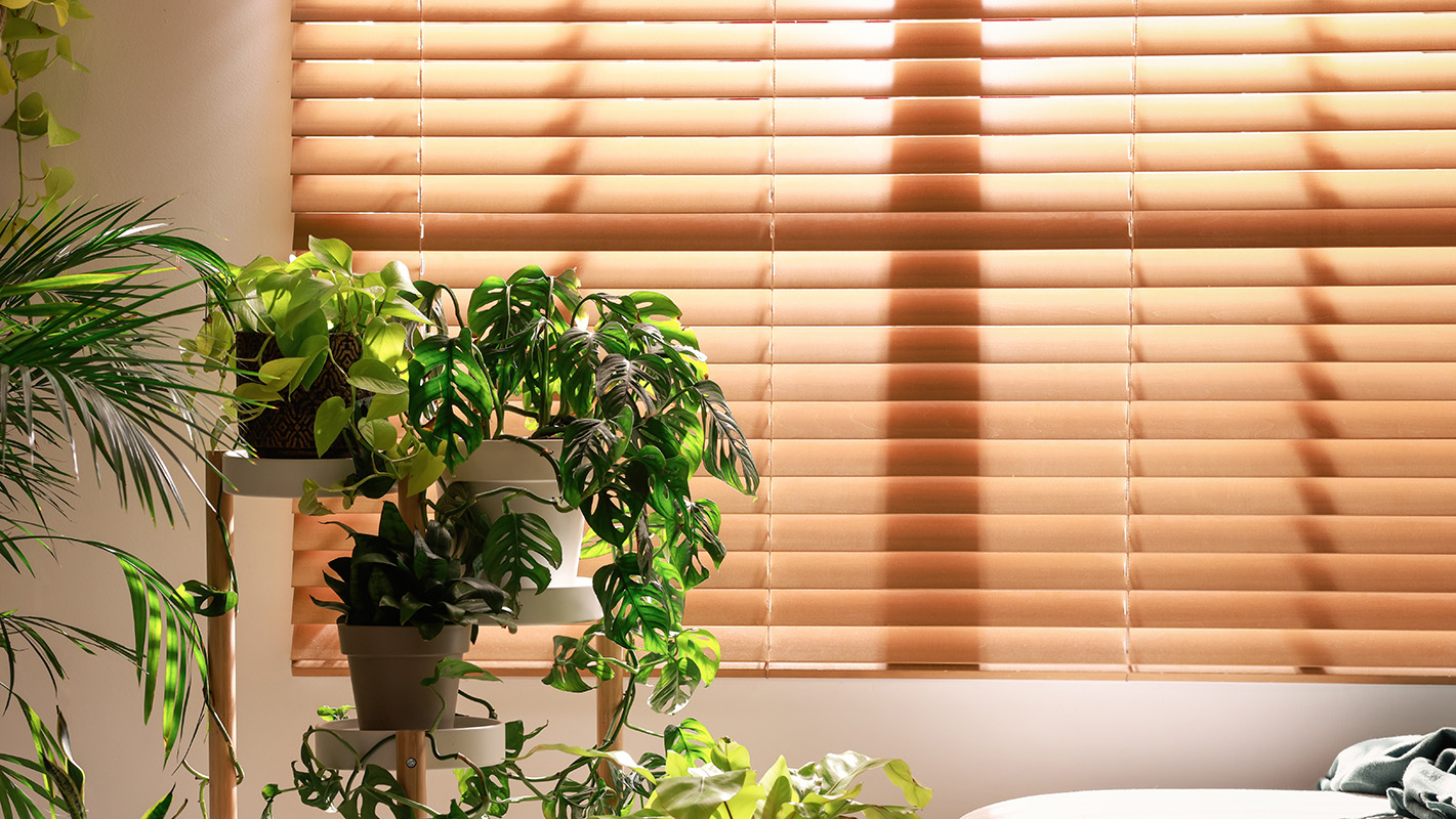 oslony przeciwsloneczne Osłony przeciwsłoneczne - Nysa